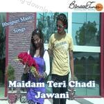Maidam Teri Chadi Jawani I - Aarif Song Download